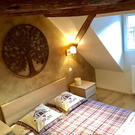Appartement Le Logis Du Vignoble à Kintzheim Extérieur photo