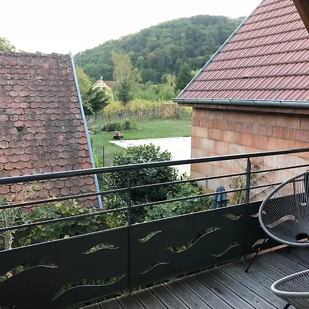 Appartement Le Logis Du Vignoble à Kintzheim Extérieur photo